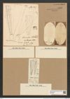 Climacosphenia moniligera Ehr. (de-Toni-Nr.: Genus 87, Species 2983) Zeichnungen Sammlung Grunow Nr. 6086 (NHMW-BOT-W0374606)